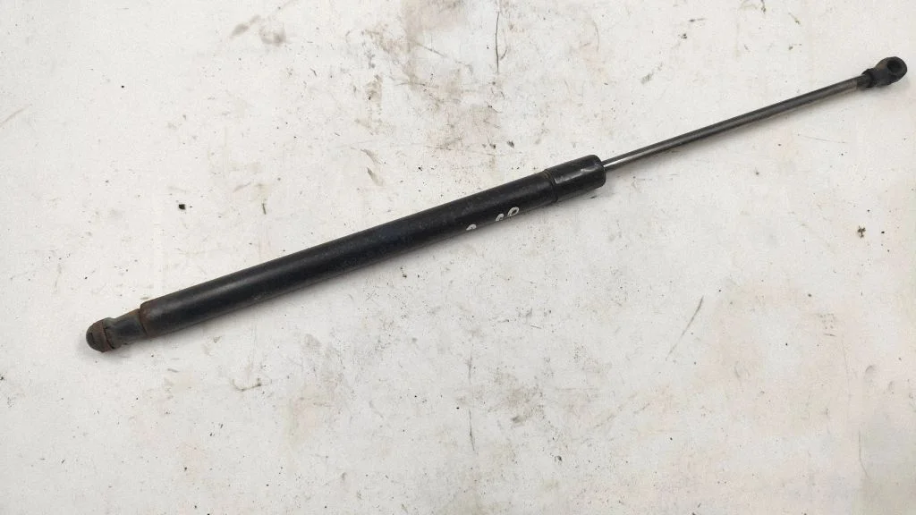Tailgate/trunk strut/damper