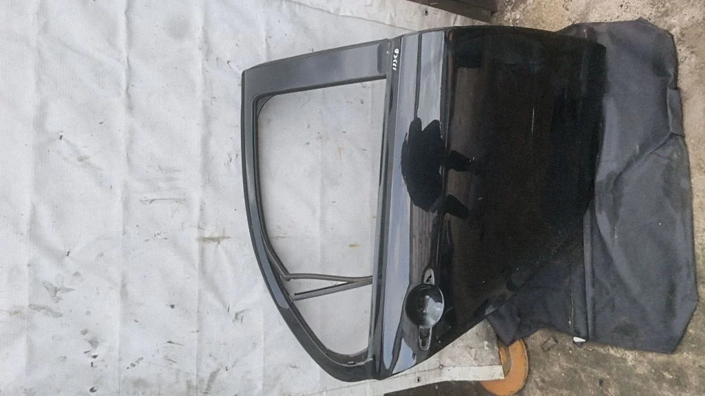 Galinės durys