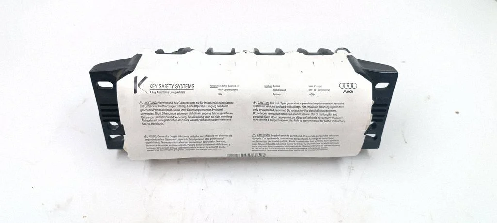 Passenger airbag 1003862