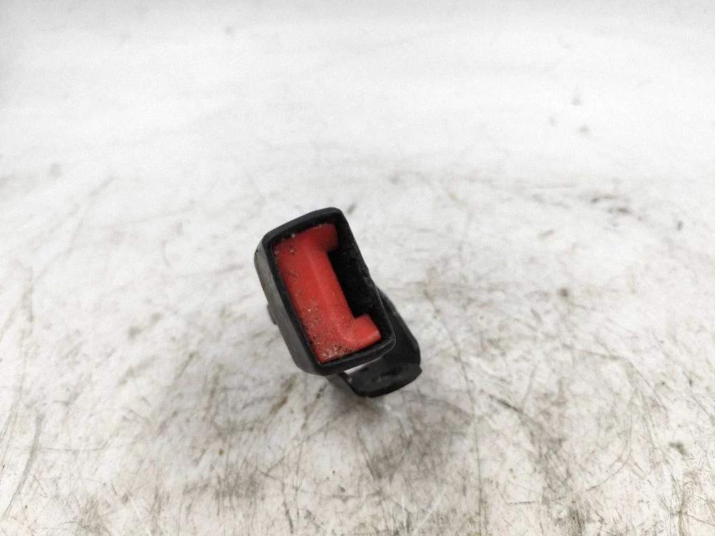Tagumise turvavöö pannal 8176516
