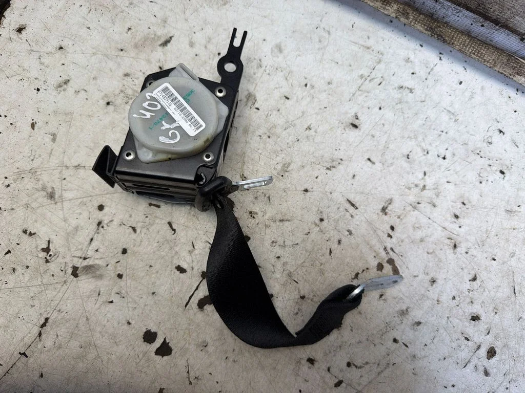 Rear seatbelt 3052985