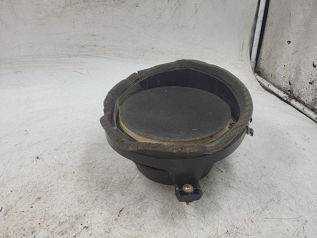Front door speaker – front left