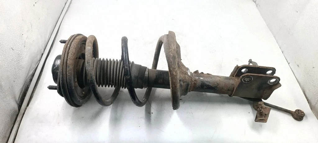 Front shock absorber with coil spring – front left