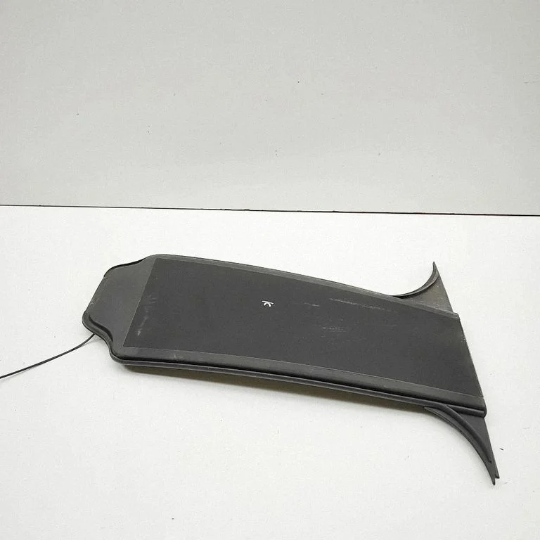 Front door glass trim molding A2976900100