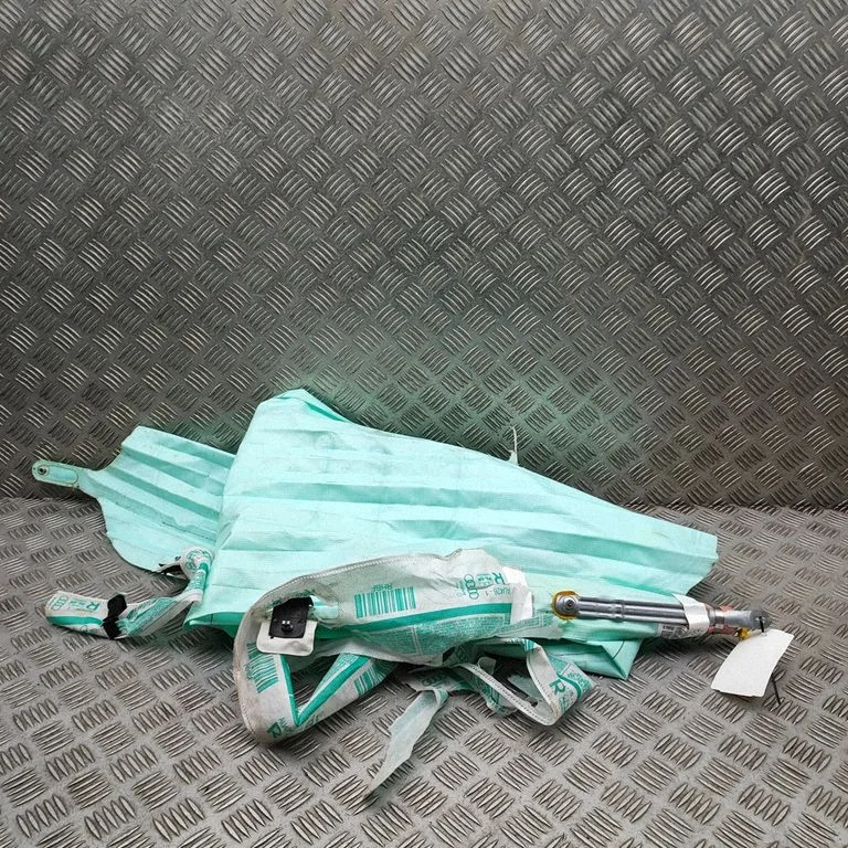Roof airbag 80F880742F