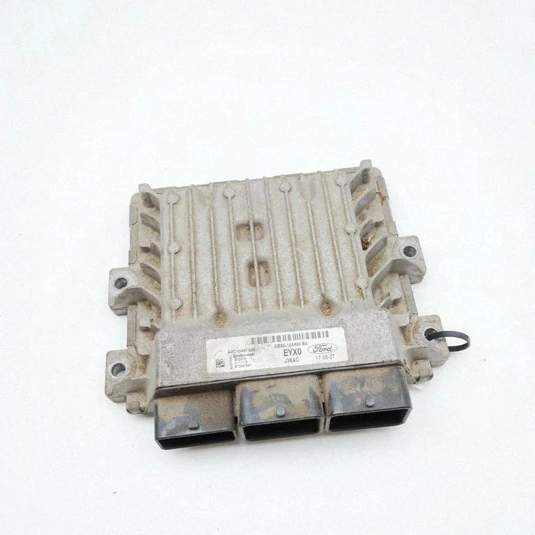 Engine control unit/module A2C10467300