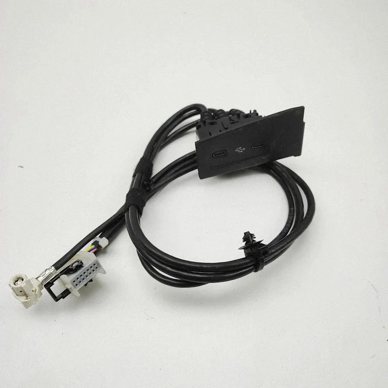 USB jungtis