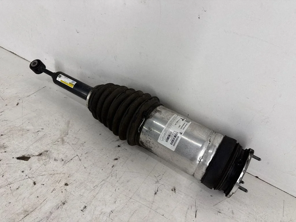 Rear shock absorber/damper 102746100E