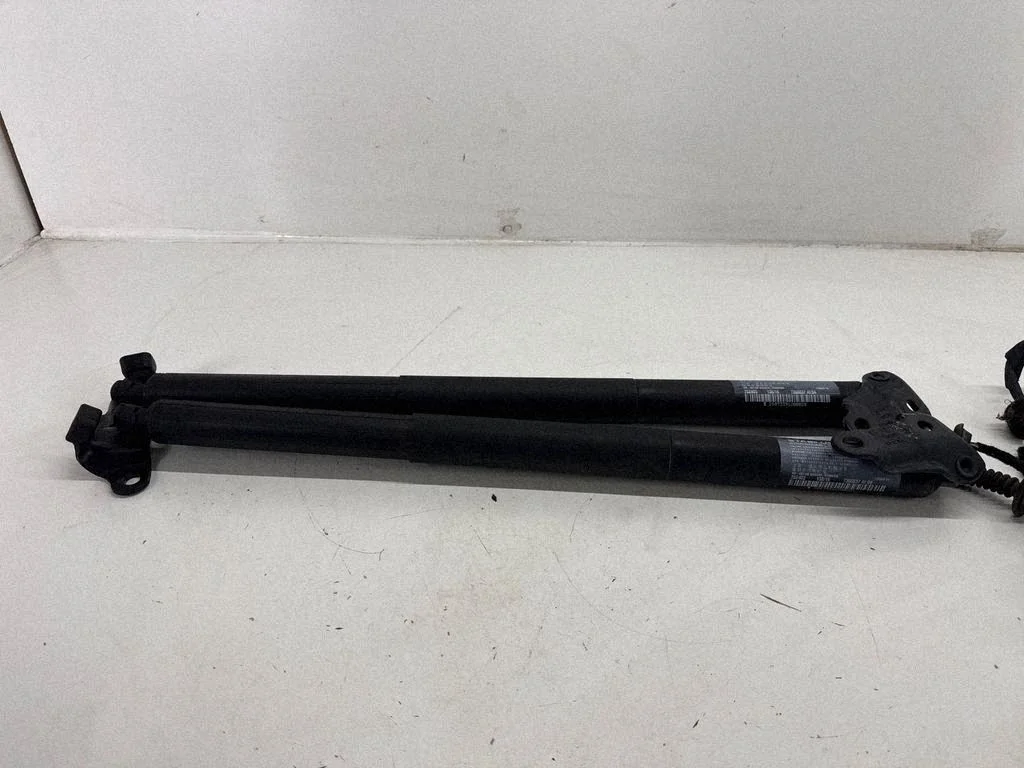 Tailgate/trunk strut/damper 7350837