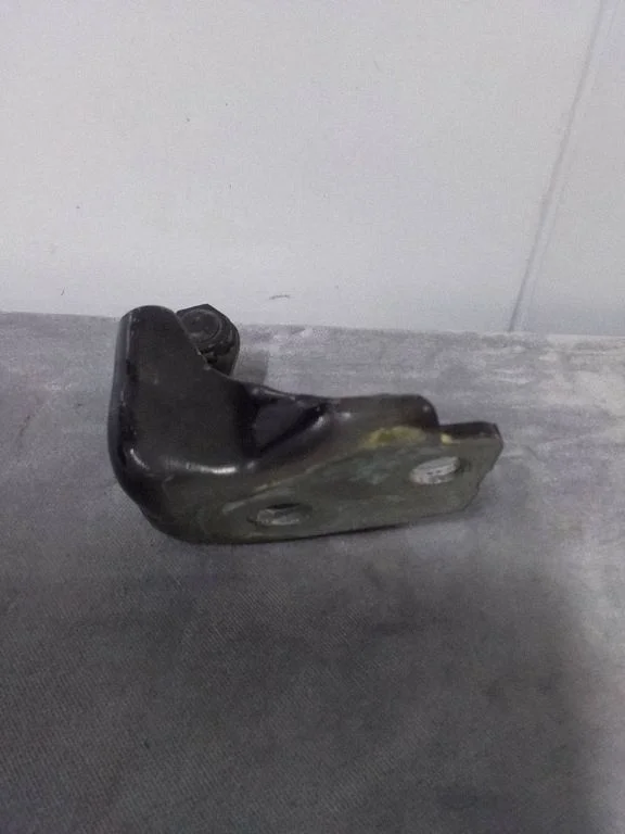 Rear door lower hinge 04316