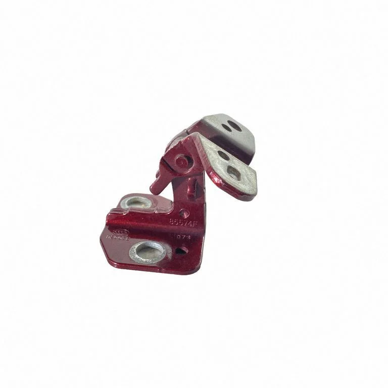 Rear door lower hinge 85574F