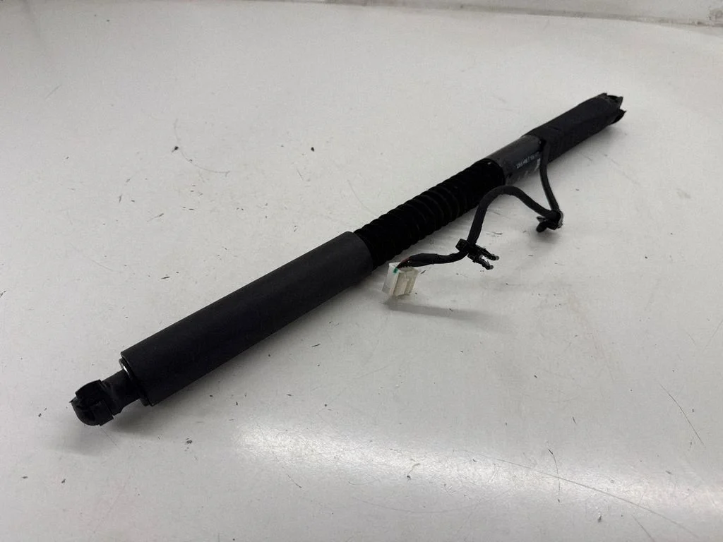 Rear door check strap stopper 106344000C