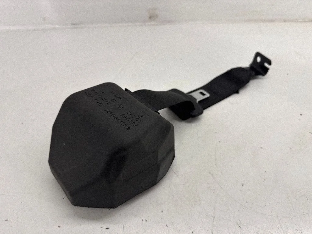 Rear seatbelt 7413987