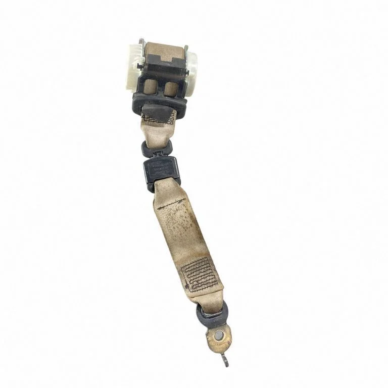 Middle seatbelt (rear) 7244843