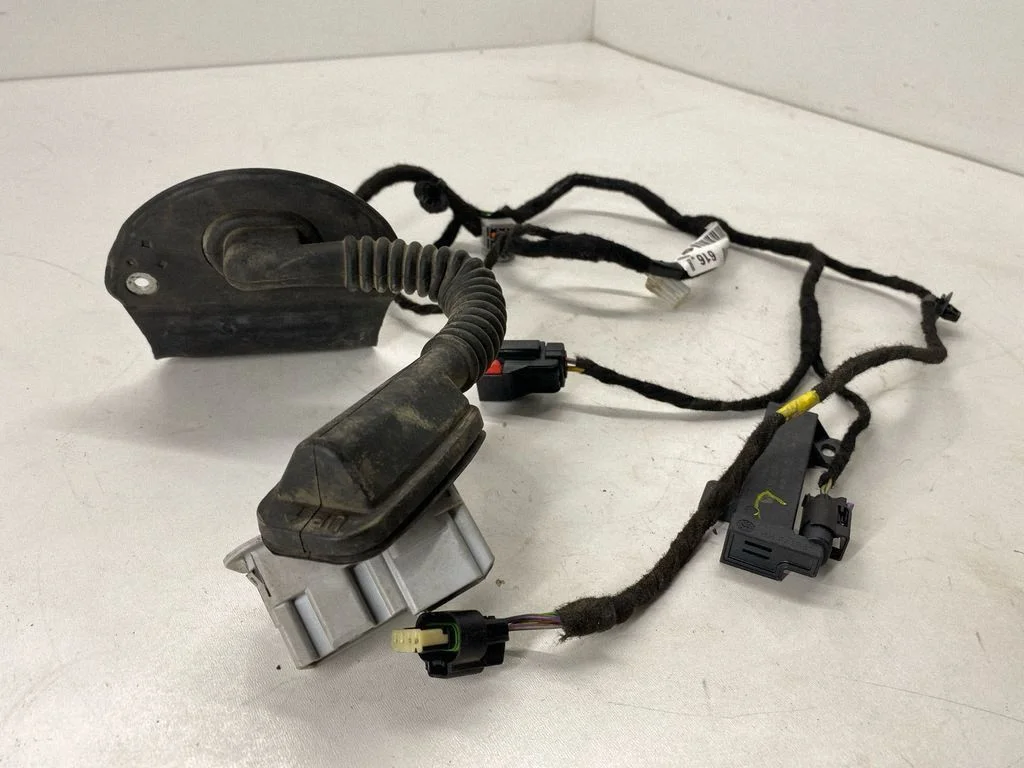 Rear door wiring loom 68333616AA
