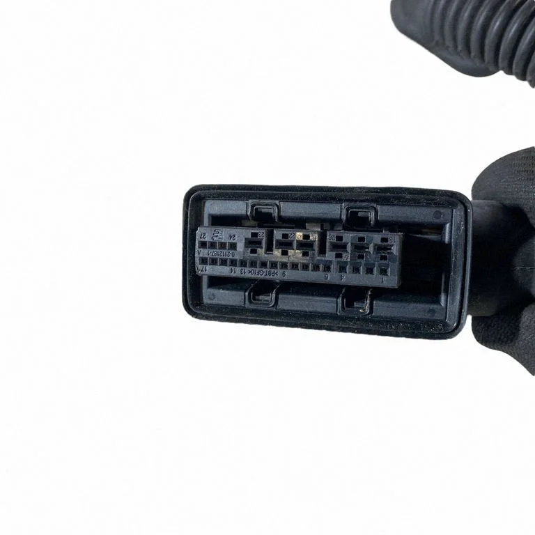 Rear door wiring loom 241265DF2B