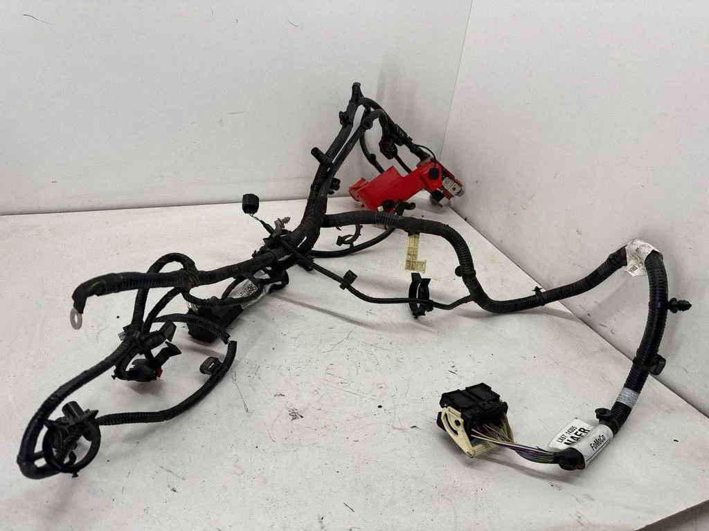 Engine installation wiring loom LX6T14305