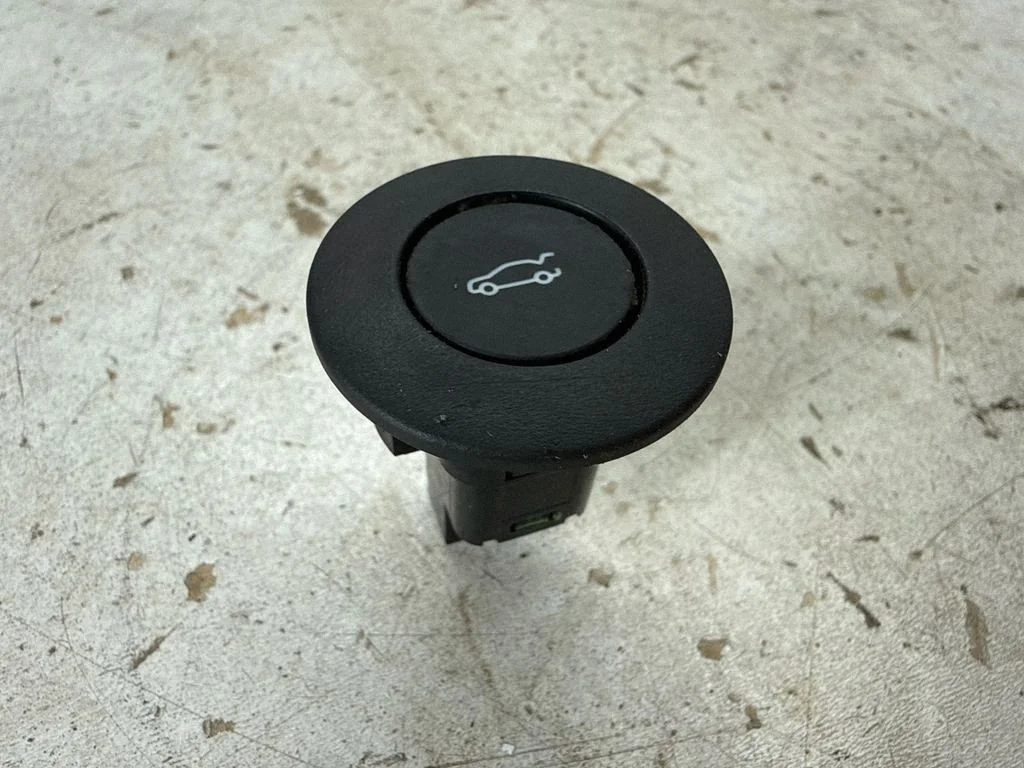 Tailgate opening switch 299113633