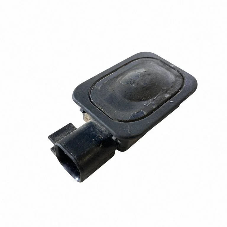Tailgate opening switch 1L2T14K147AA