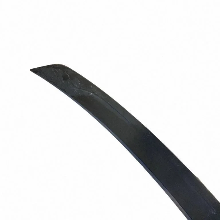 Tagaluugi spoiler FR3B7641602ABW