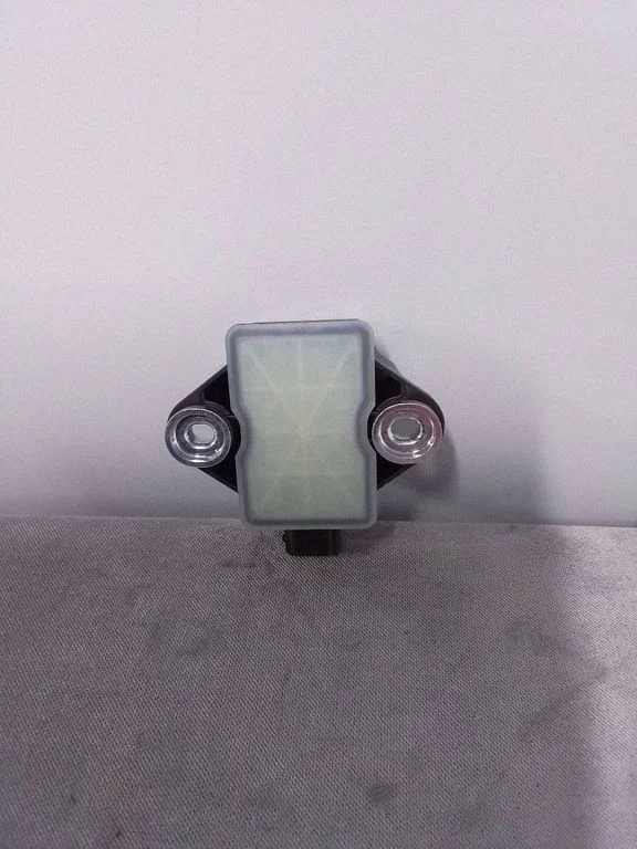 ESP (stabilumo sistemos) valdymo blokas