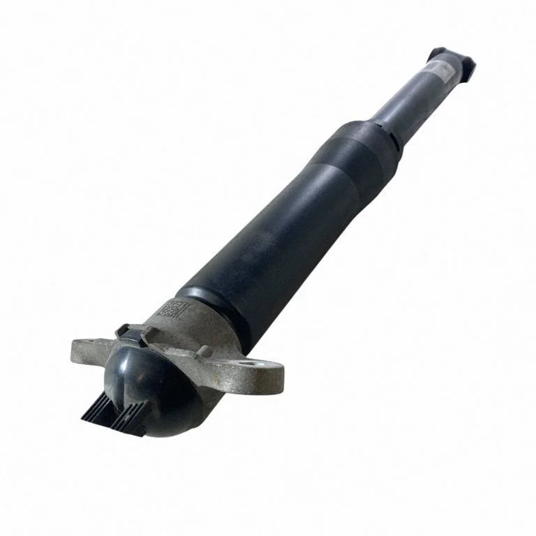 Rear shock absorber/damper LX6118080JGG