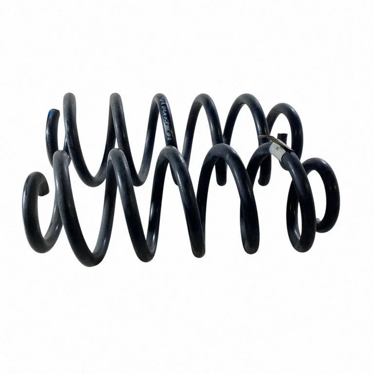 Rear coil spring LX615560