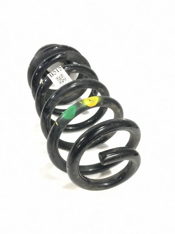 Aizmugurējā spirālatspere GN1Z5310F