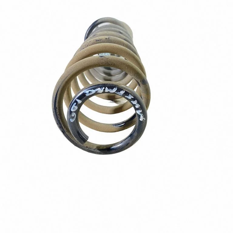 Rear coil spring BR335560AB