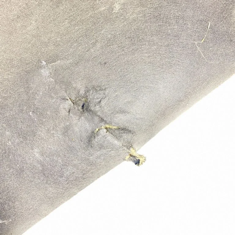 Garso izoliacija variklio dangčio