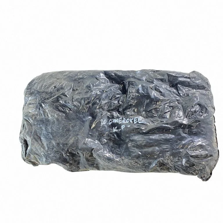 Putoplastas sparno