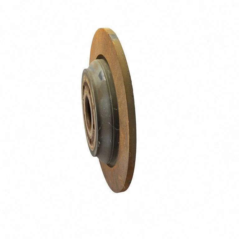 Rear brake disc LX612A315BNA