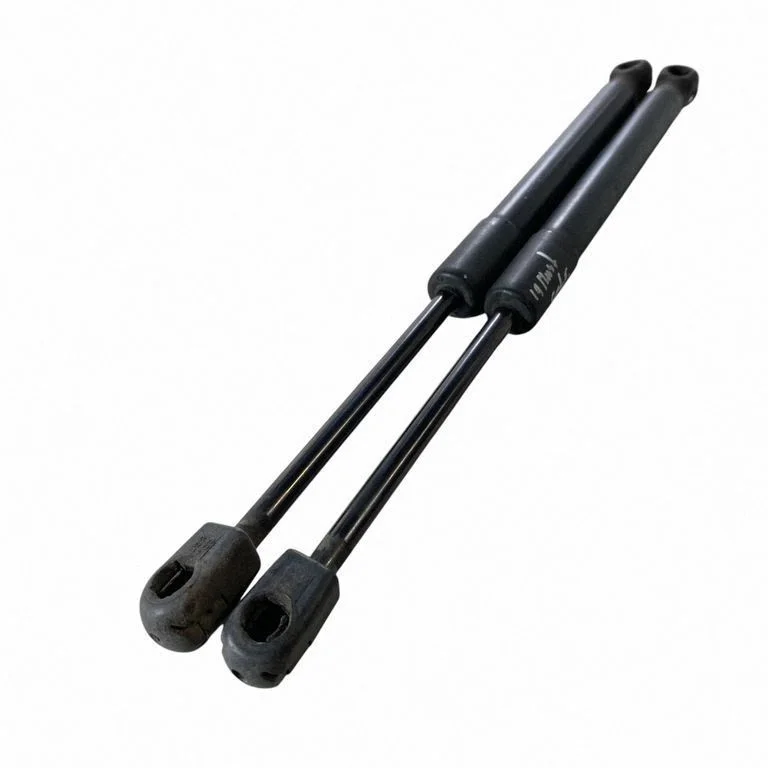 Tailgate/trunk strut/damper FR3B76406A10BB