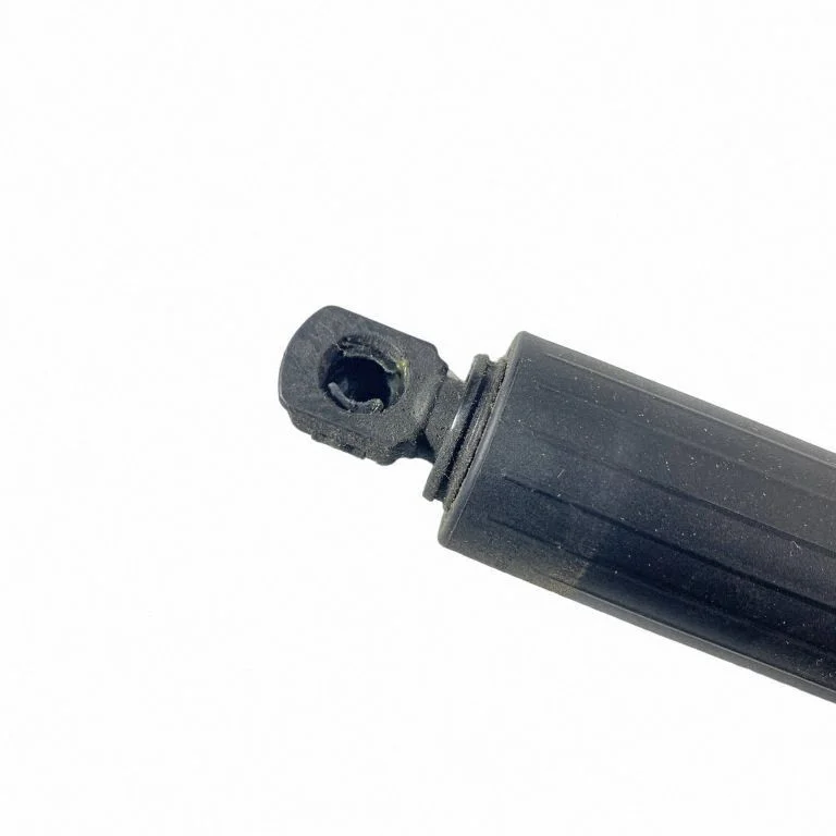 Tailgate/trunk strut/damper LJ6BS402A54AC
