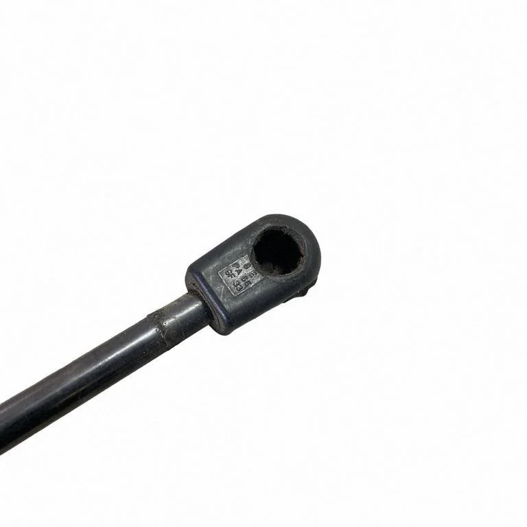 Tailgate/trunk strut/damper FR3B63406A10BB