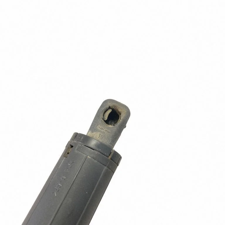 Tailgate/trunk strut/damper FT4BR402A74BA