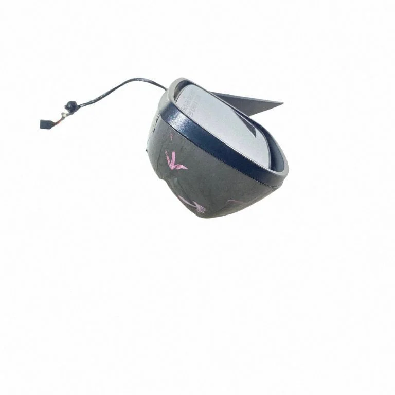 Front door electric wing mirror 1LD58DX8AE