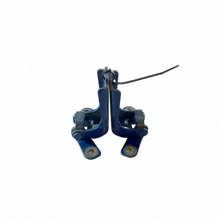 Front door hinges set P20330