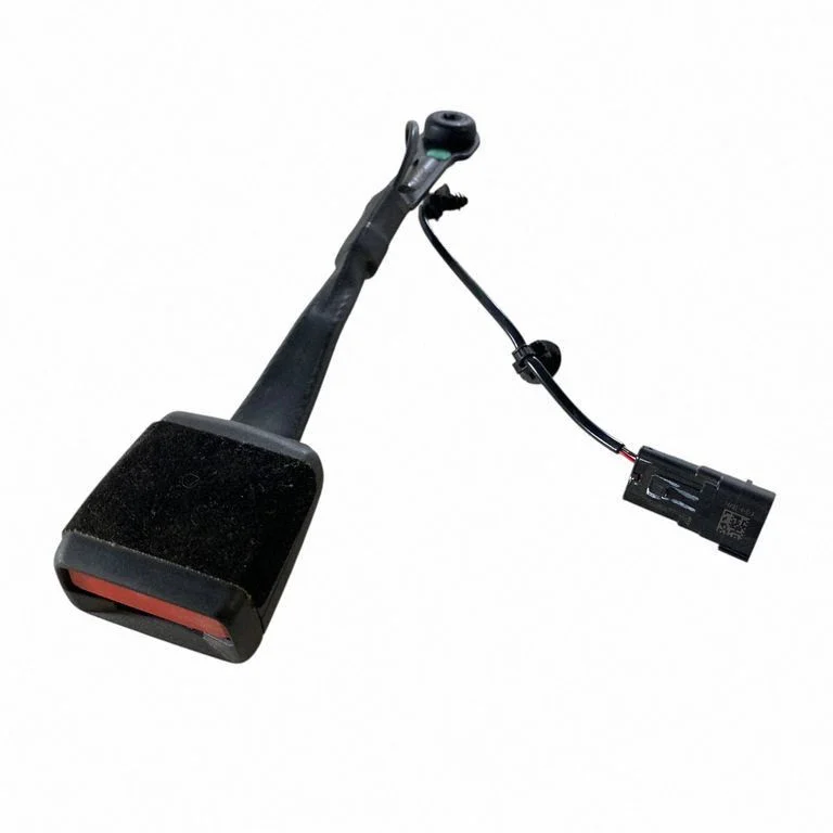 Front seatbelt buckle LJ6BS61209AB