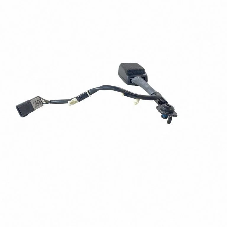 Front seatbelt buckle FT4BF61208AK