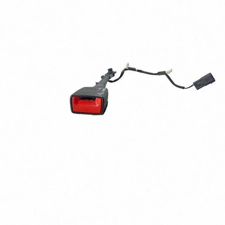 Front seatbelt buckle FT4BF61209AH
