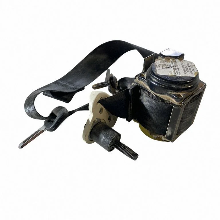 Rear seatbelt FT4BR611B69