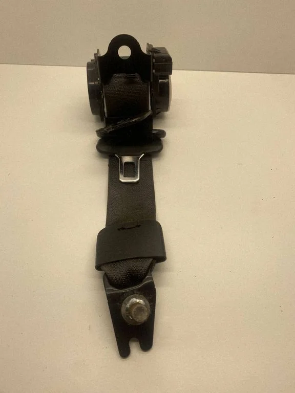 Rear seatbelt 84381816