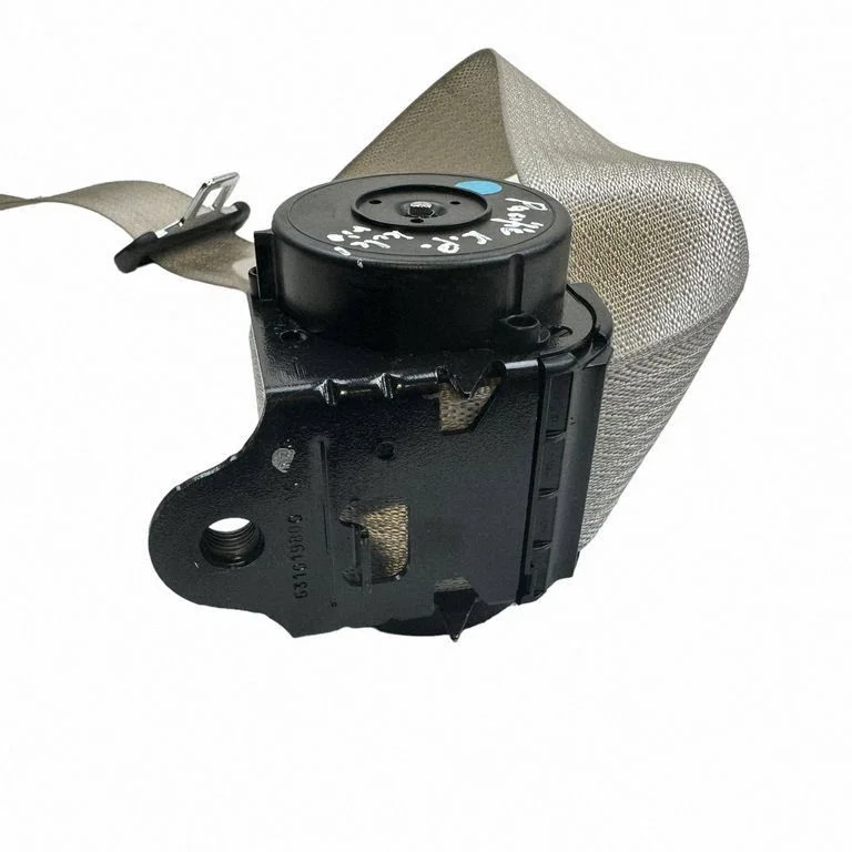 Rear seatbelt TSZ240711212