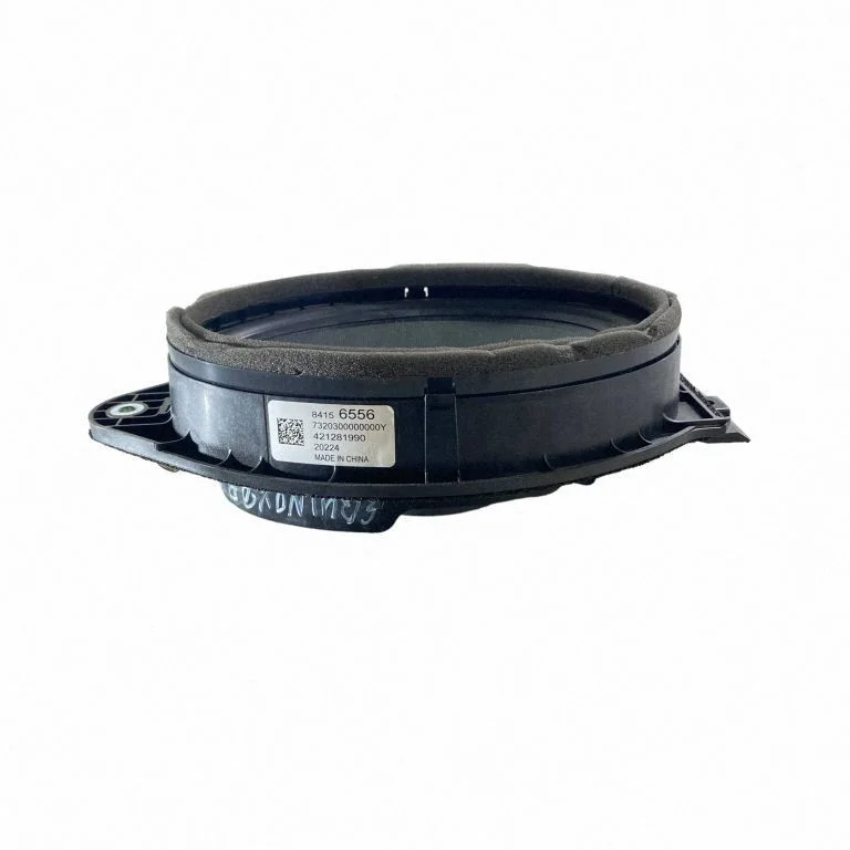 Skaļrunis (-ņi) priekšējās durvīs 84156556