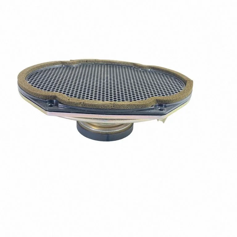 Front door speaker DR3T18808CB