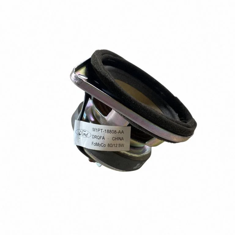 Panel speaker M1PT18808AA