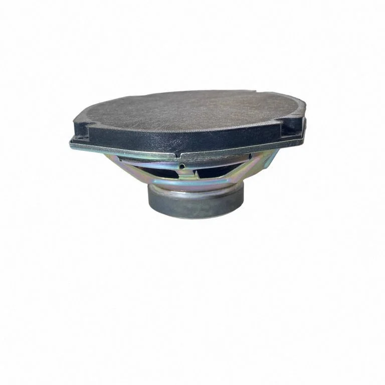 Rear door speaker