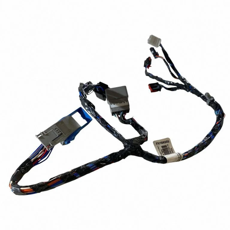 Other wiring loom FV166005