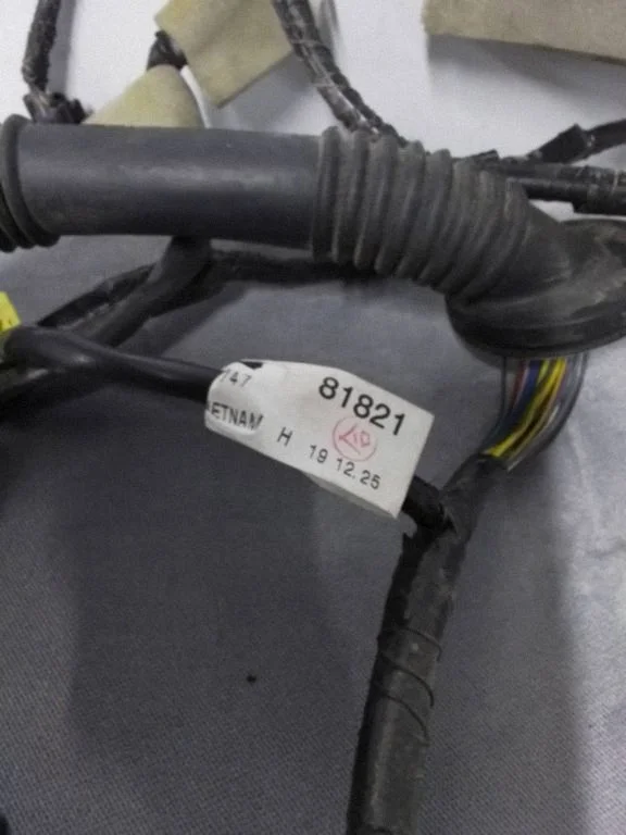 Other wiring loom SJG16P